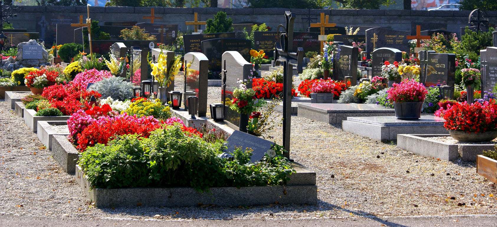 fleurs dans un cimetiere